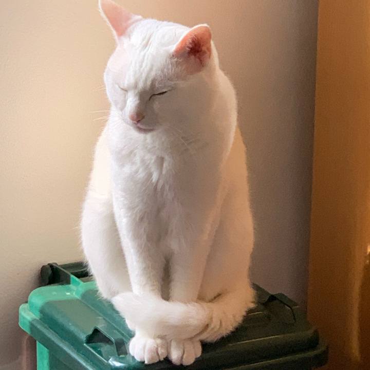 B961e546 548b 4a4c ba82 2d76e4d45744 1588460747381