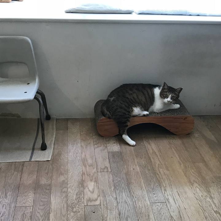 B961e998 3843 4288 b7ba 69b1b3dc7e61 1530422645631