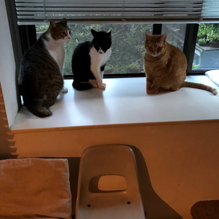 B9623be6 fb5f 4432 9e5e 065c99e30f24 1530093864417