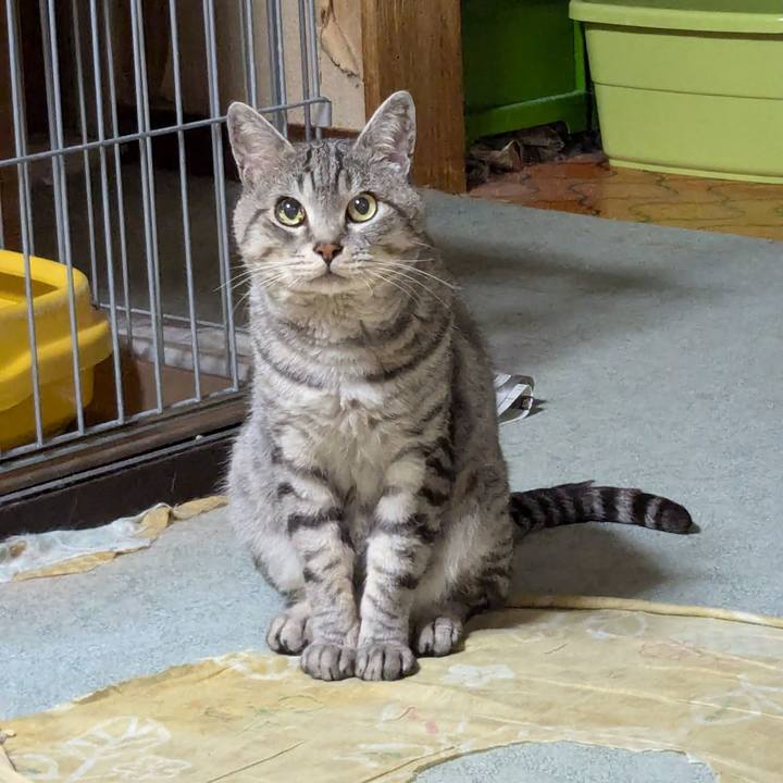 B962927a ae97 45df baf7 b24d47c8abc6 1722780252199