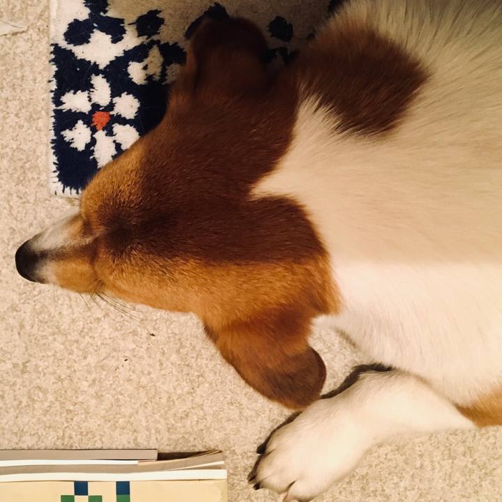 B962b262 eca6 43bd 940e 2de9874cae1c 1626390034989