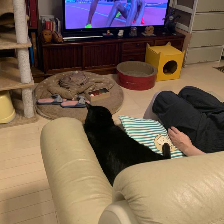 B962cfd3 a2c6 4699 995c e36b40c07c5d 1757855254770