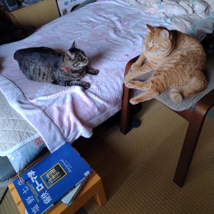 B962ed9e 489d 461d 9f2c bd214908667a 1689992522913