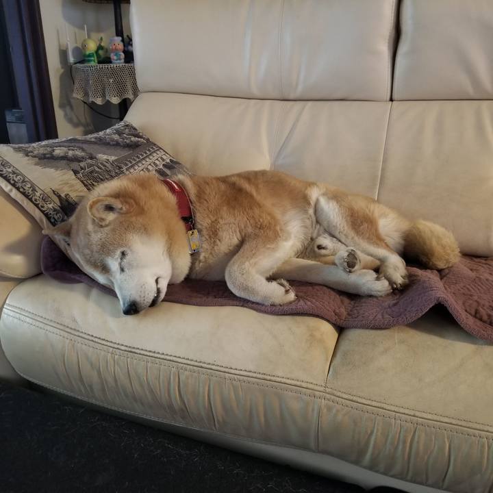 B962ef58 ef94 4475 a840 fcf81959fa03 1744585104153