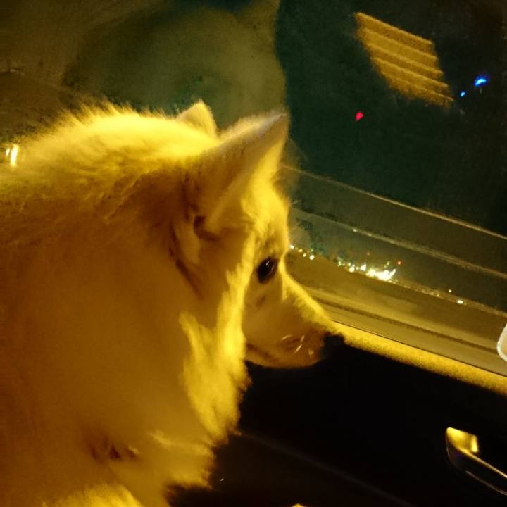 B9631560 2aee 4ac3 8a2c 2b3d98f9670a 1533901752421