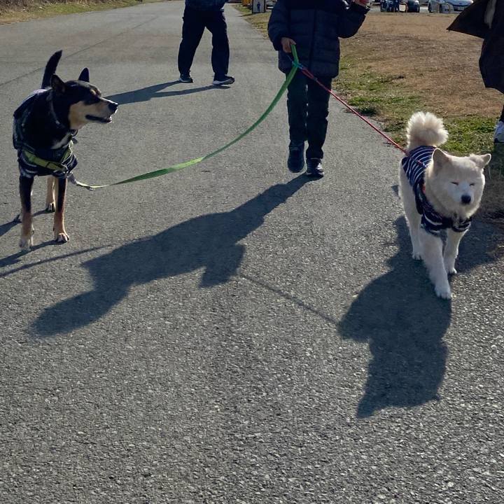 B9633f8e f4c0 42a6 a712 5293a6649cdc 1705799583551