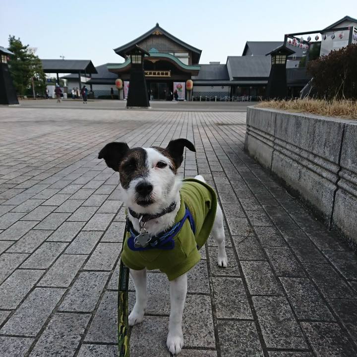 B96346bd 3f3b 4b61 9400 ffa68541e36e 1518331839103