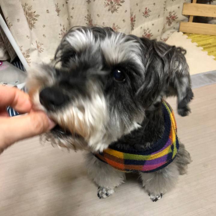 B963548c 2f1c 4e66 8654 e8d9656958a3 1643721971383