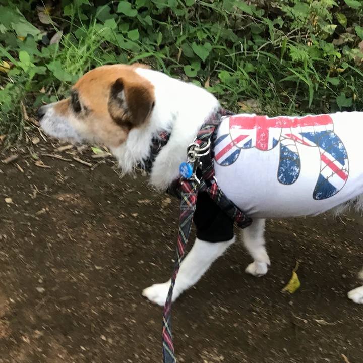 B963ee9c 3f0a 4ca7 b1b4 bf02967baaed 1525565678189