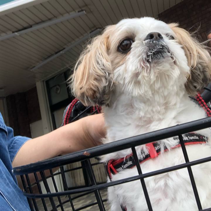 B963f12a 04e0 440c bacd 6538378e1c9d 1562103932856