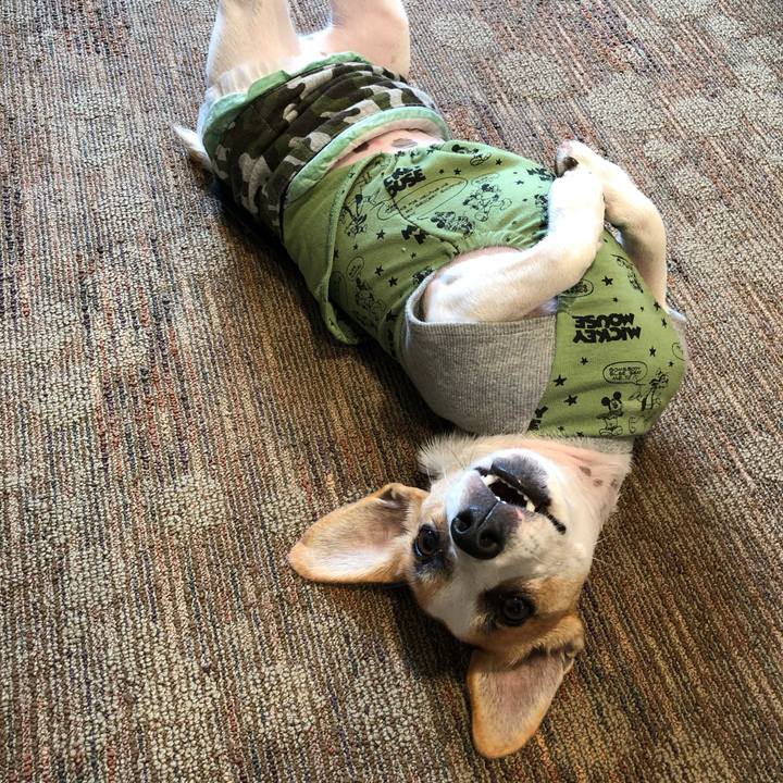 B96400ef 0128 438b bc82 cae2b2addf04 1573857142400