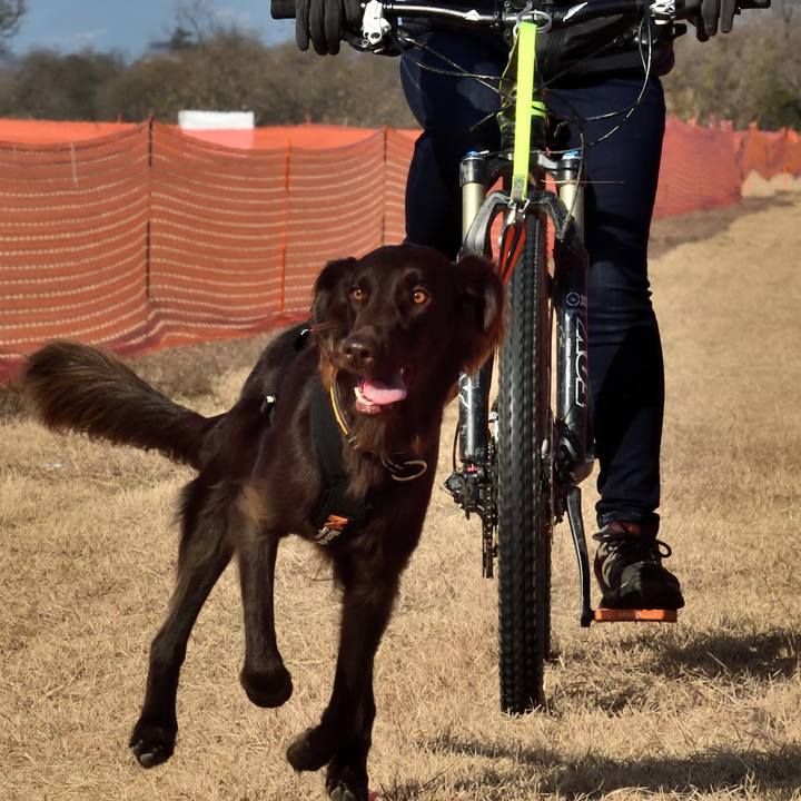 B96444dd a2d6 4e4d b771 abfa562ae725 1608128176759