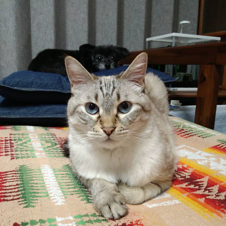 B964949b 1a4b 4862 87be dbe29dd537d7 1695293659613