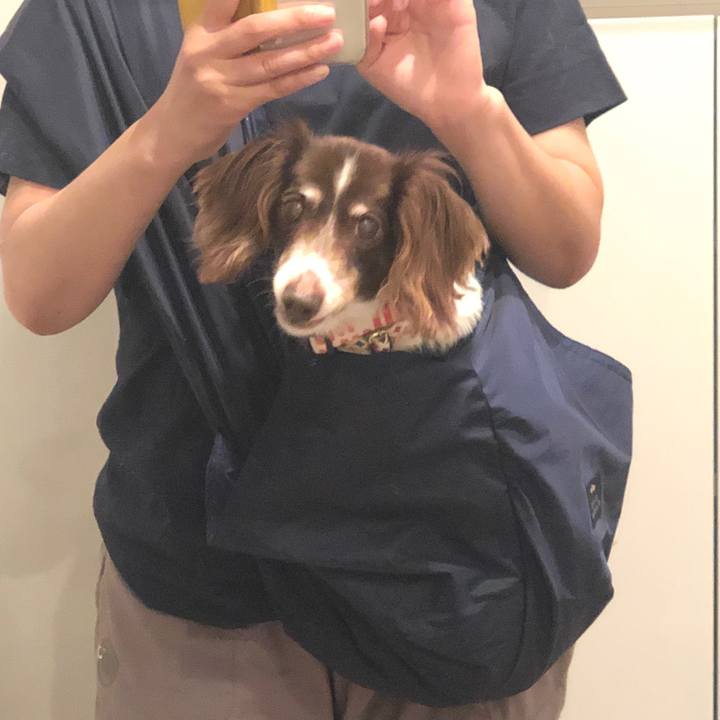 B964c046 34f0 4d77 a998 f9a69c360f67 1568030039844