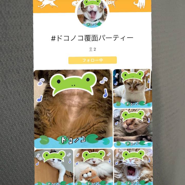 B964ca01 353f 48e1 964b 065e38255afa 1718526410702