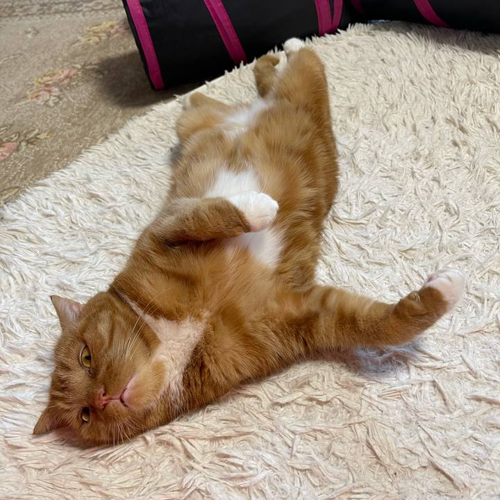 B964cfd2 6e6b 439c 8c2c c67c5c35f808 1653728643616