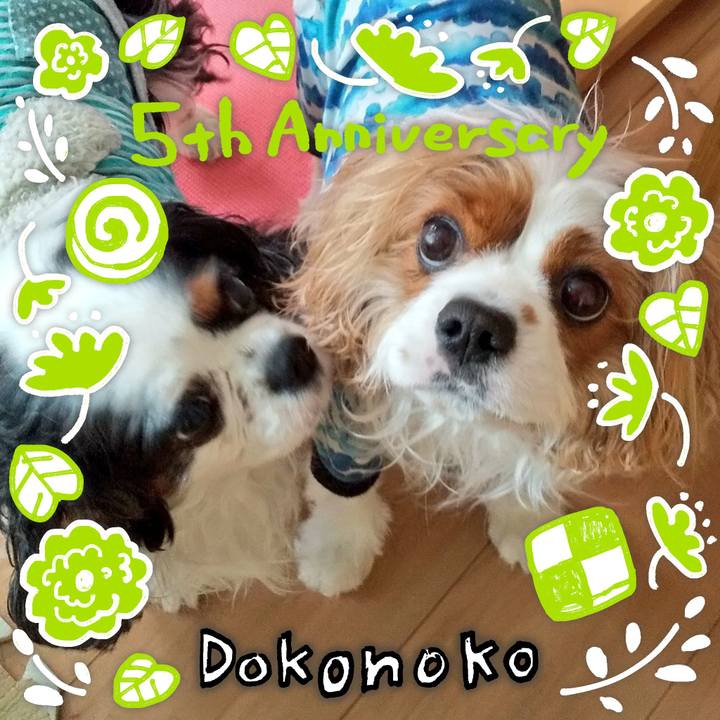 B964ebc9 484d 4245 a8a8 ca590e575b2d 1622904510985