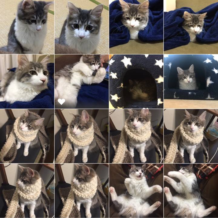 B9650e86 7bc7 45b4 a63c f3a4a1505076 1515672125549