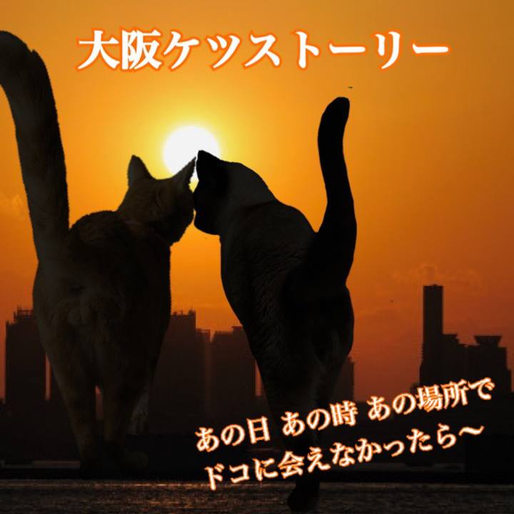 B9659842 5d4e 4f88 9e3d 3b8856e45da5 1566773621350