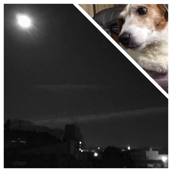 B965d2d8 cdd5 4e8b 9477 ed5dc0f61ab5 1512306058491