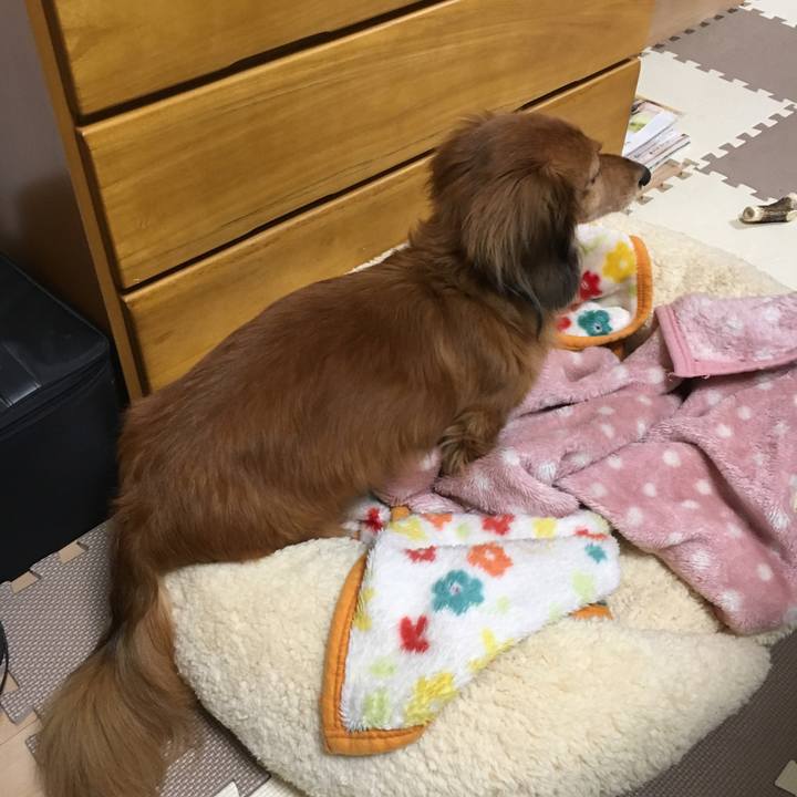 B965e660 b557 4ef4 9eb4 5c01c70b94a0 1544277844584