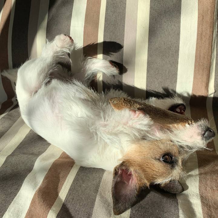 B966394e cadd 4968 ac92 dc697e194da1 1579478904056