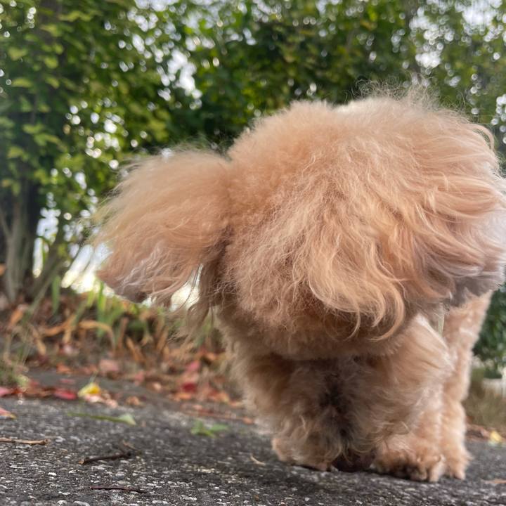 B9664e66 d5e4 4d99 a751 35a8673d2036 1760860921170