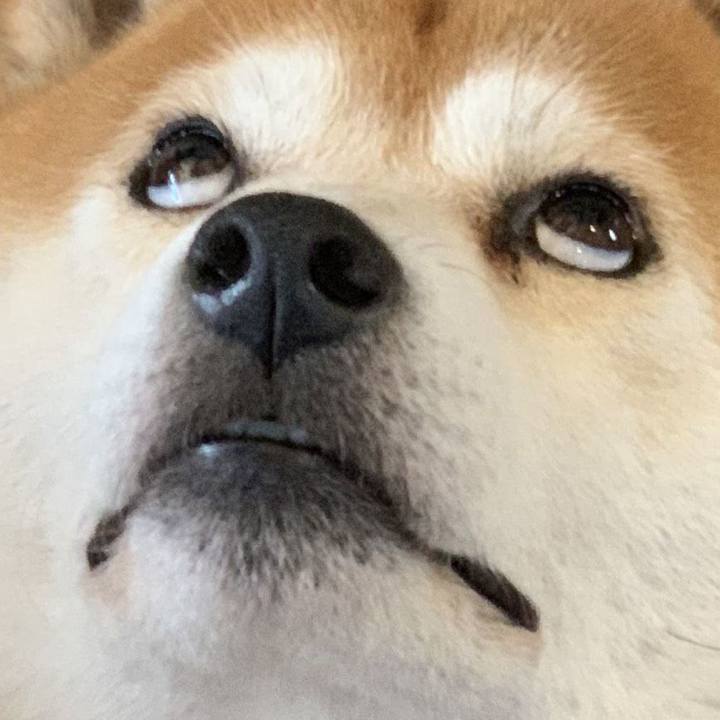 B9666799 0fd7 46ab a356 9f099fea6511 1540180295644