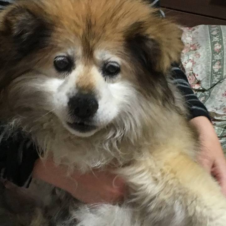 B966a96b 657c 432a b423 3296db8b8d59 1617901256628