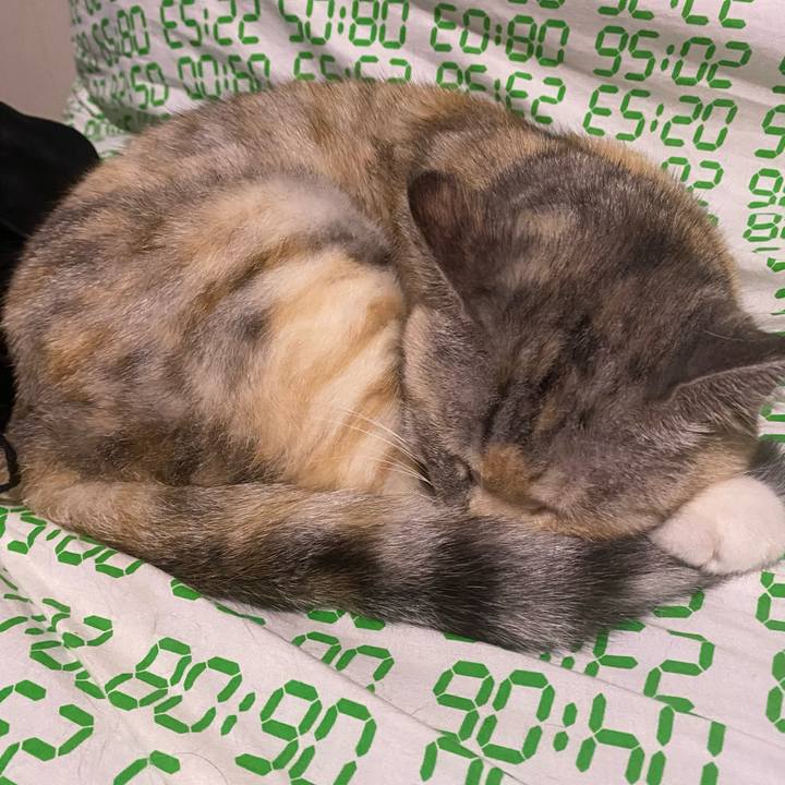 B966a9a2 272a 4249 98dc 9e0af4eb477d 1662223954247