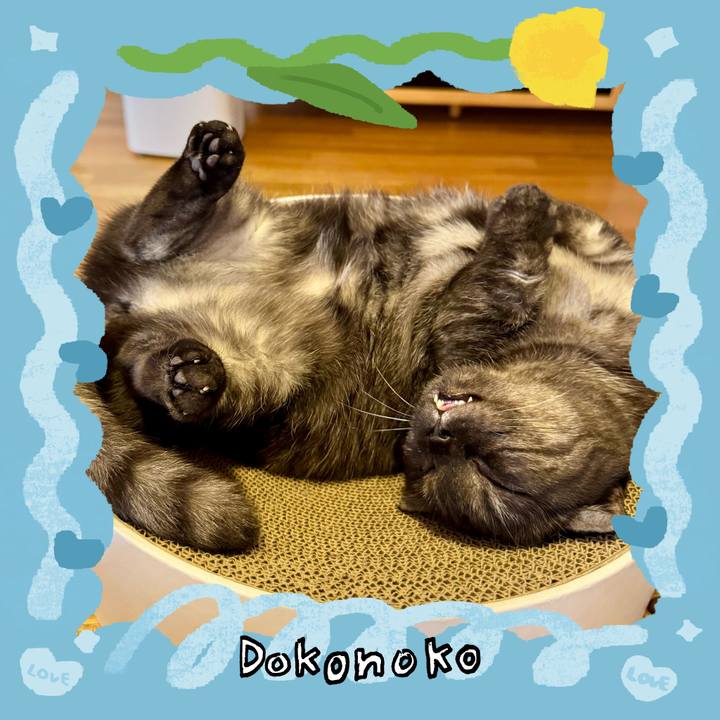 B966acbf fb4b 483f bc48 68aa7dfa7cb0 1772494094506