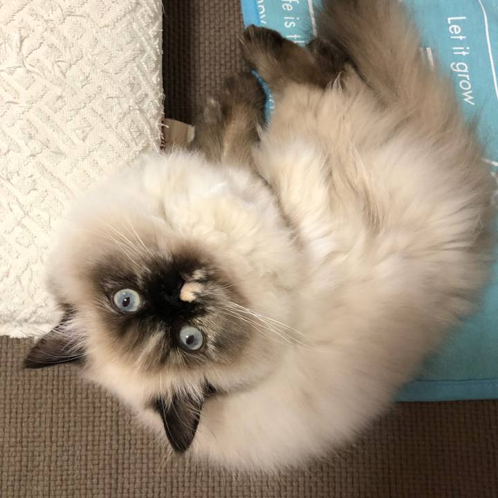 B966d759 7aad 4a26 a04a 26533abd77f1 1637497553848