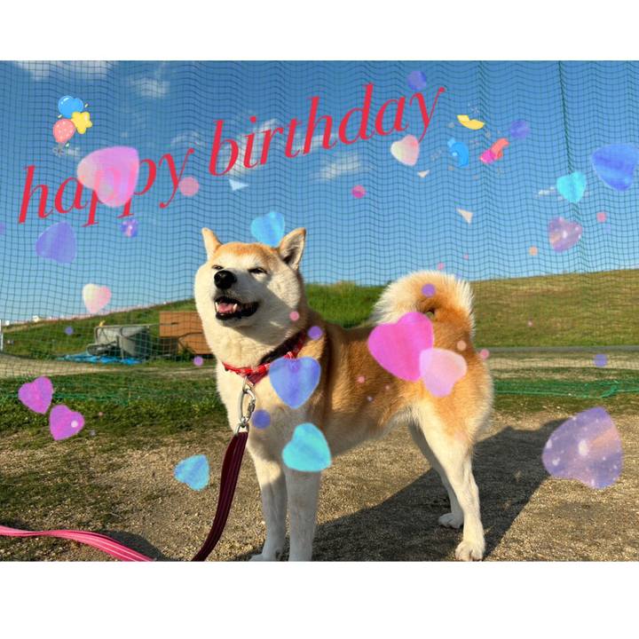 B966fd9b cc5e 4205 8893 94217c7805c9 1714868127841