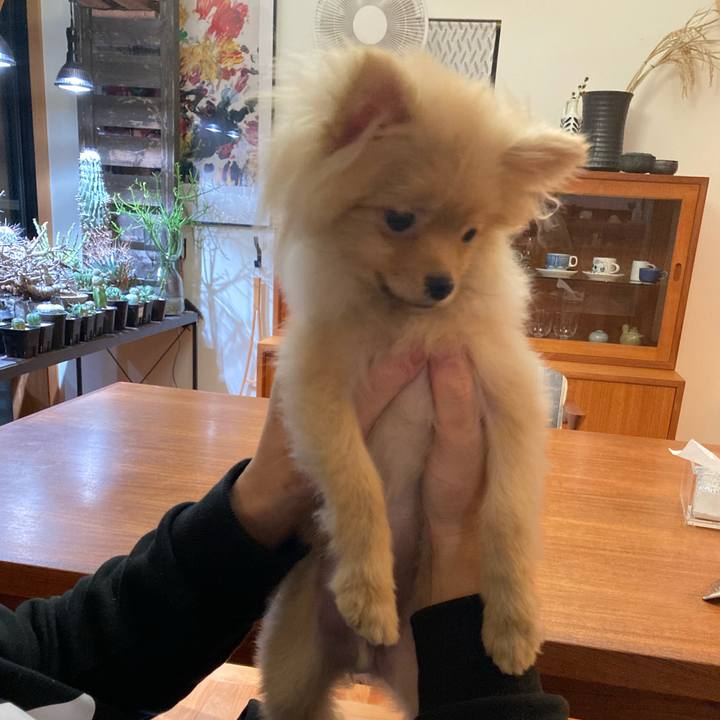 B96730e2 0472 4d3b af4b 7f76c7b5bb85 1640862438673