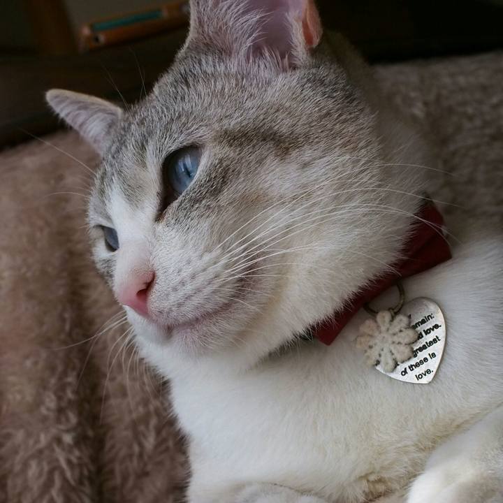 B96735a3 054a 4a44 ac63 329326f83890 1521260652659