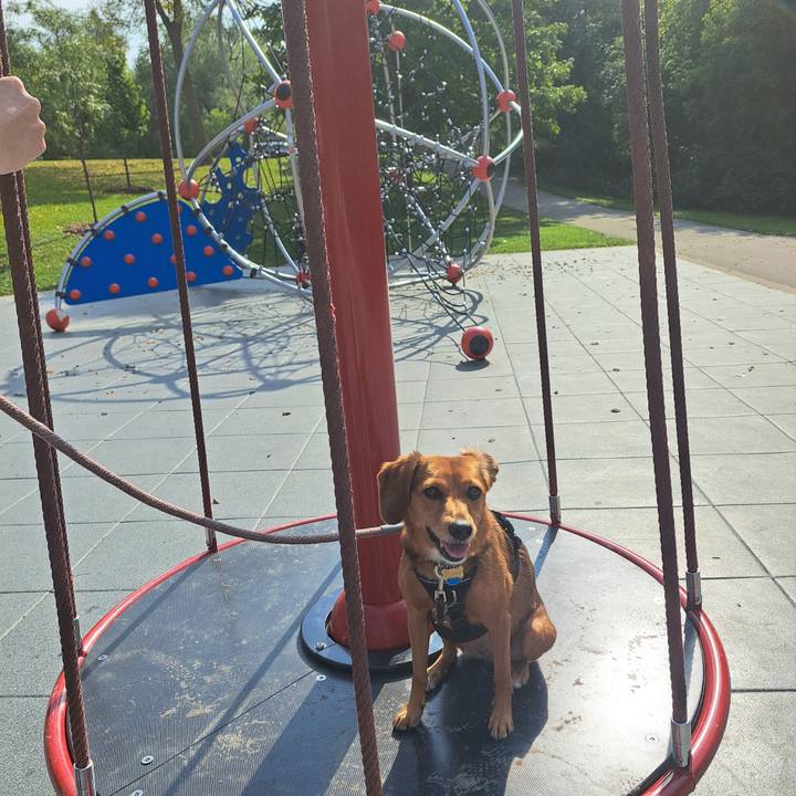 B9677fe9 2408 4474 a486 6ce5c8714598 1759006087109