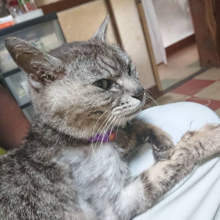 B967a98c f966 44fc b217 16aa5b6ef42a 1594158540167