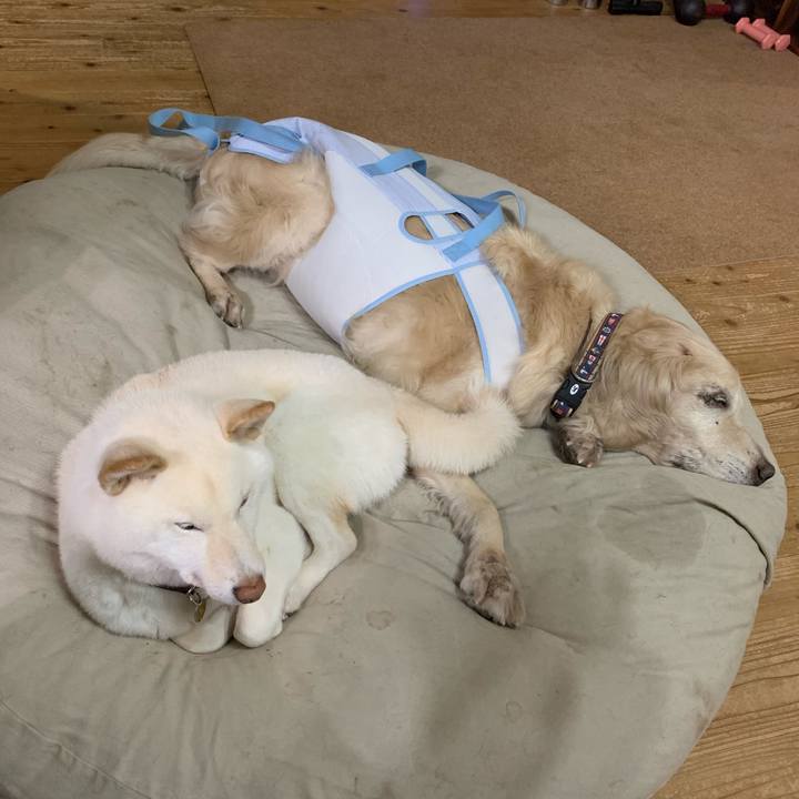 B967be4d 419f 4db9 b5e4 0feaed33b2e2 1613174969057