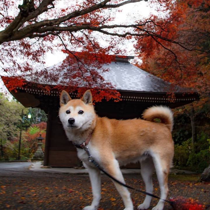 B967e167 fb1d 4423 93cc adc58077cb51 1513472071614