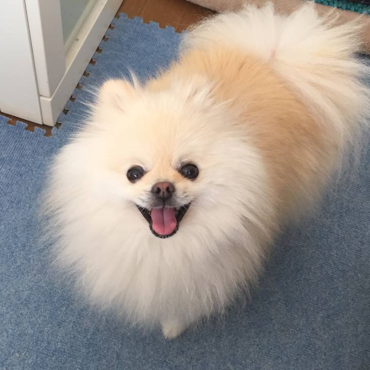 B967e84b 4ddf 4815 94bb 605e7e841d72 1598248926519