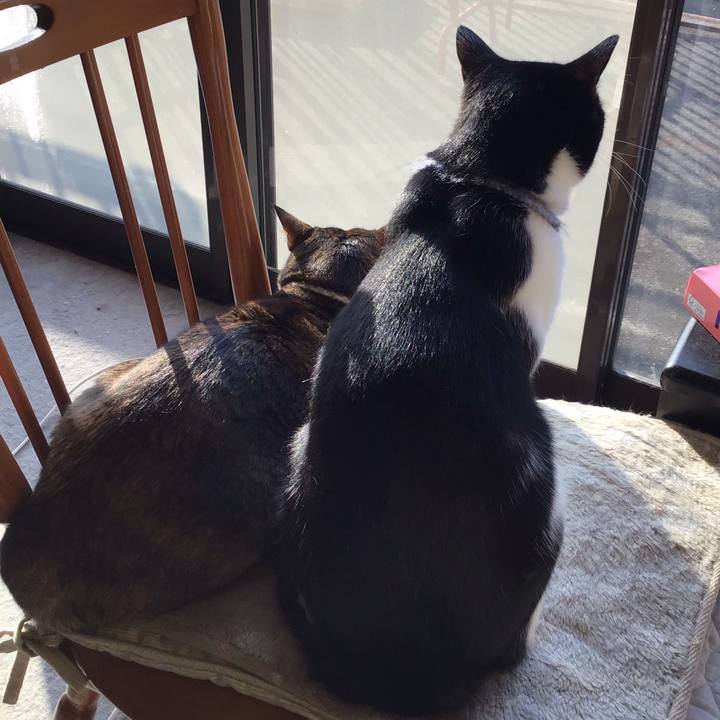 B968120e 0a51 4a60 8701 cd037eb6bf4e 1667003811209