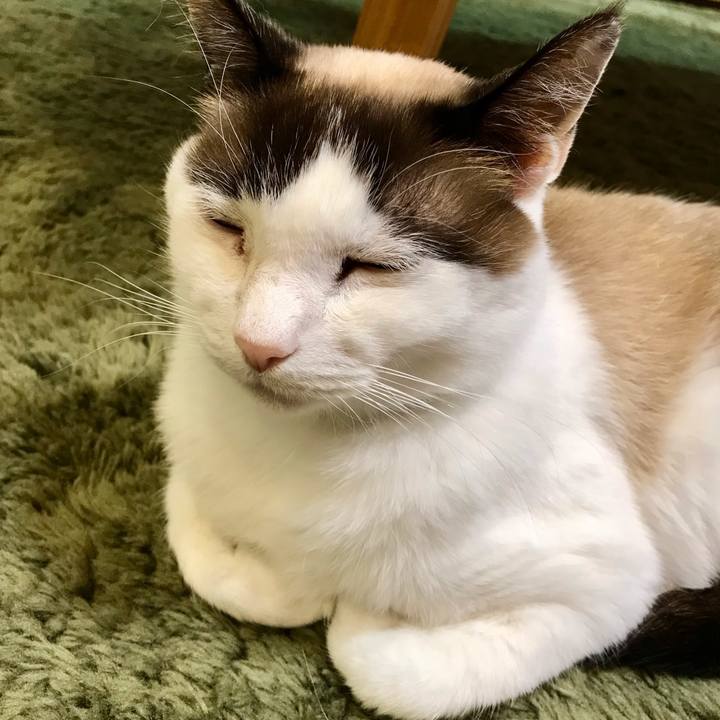 B9681ad0 70b9 49ac abfe ecef3b91e1d1 1615973307874