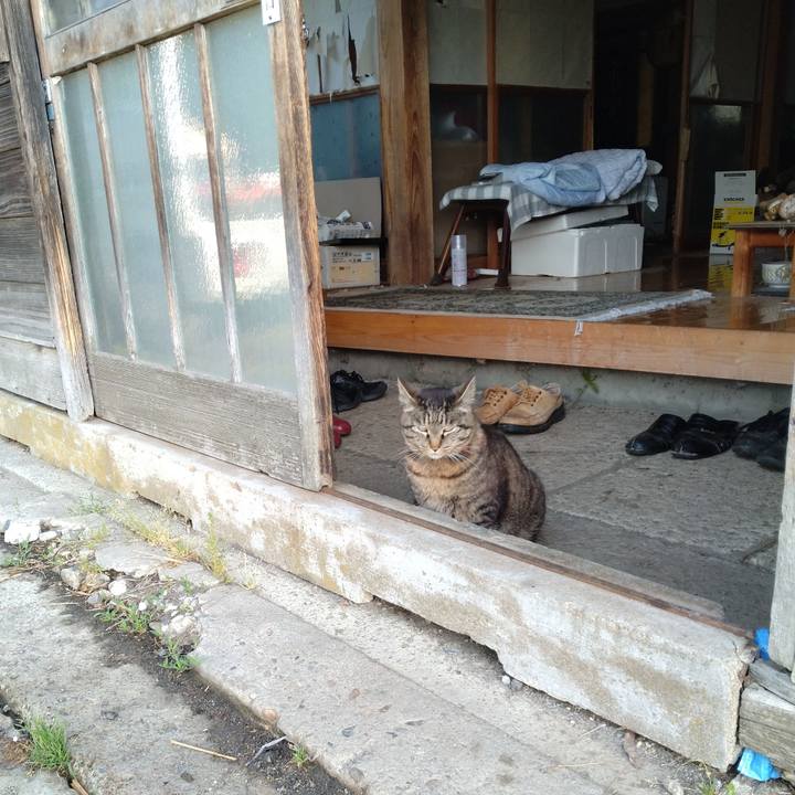 B9683b93 171b 4be2 9d23 b3739fa52d1b 1685399288273