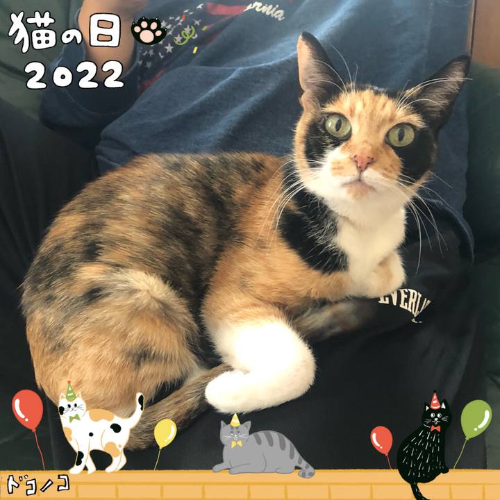 B968626a 0407 4d5b af5a 3c103827dcb3 1645502486961