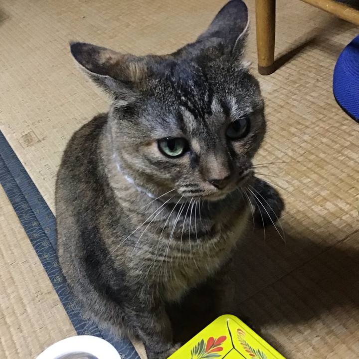 B9688234 0d93 4ea0 9cbf 3e71250119e0 1724920678312