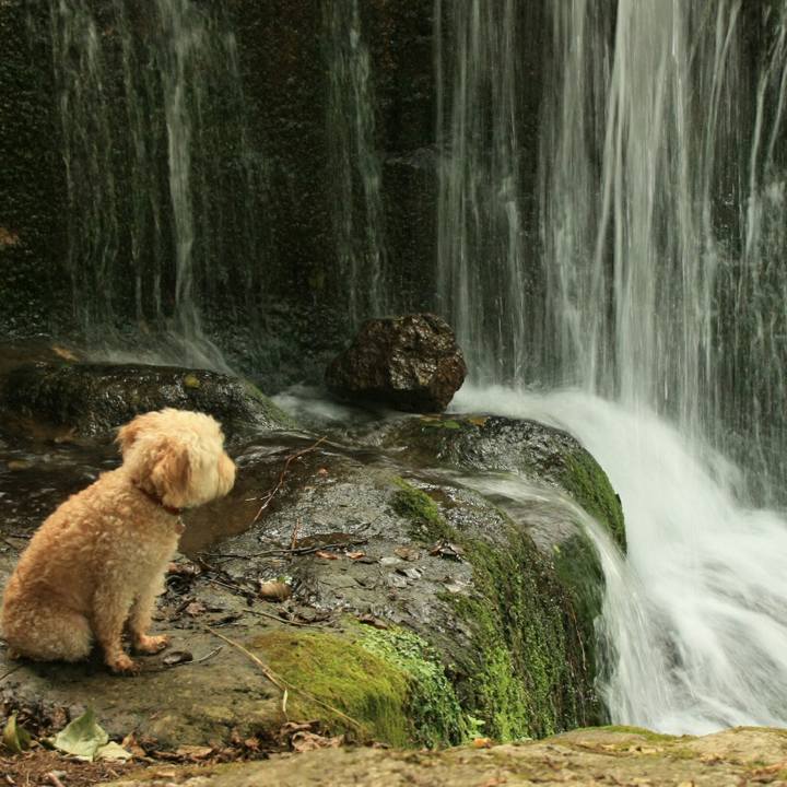 B968a63d cfbb 4ce5 acd2 1c70c85ba1e7 1535010766041