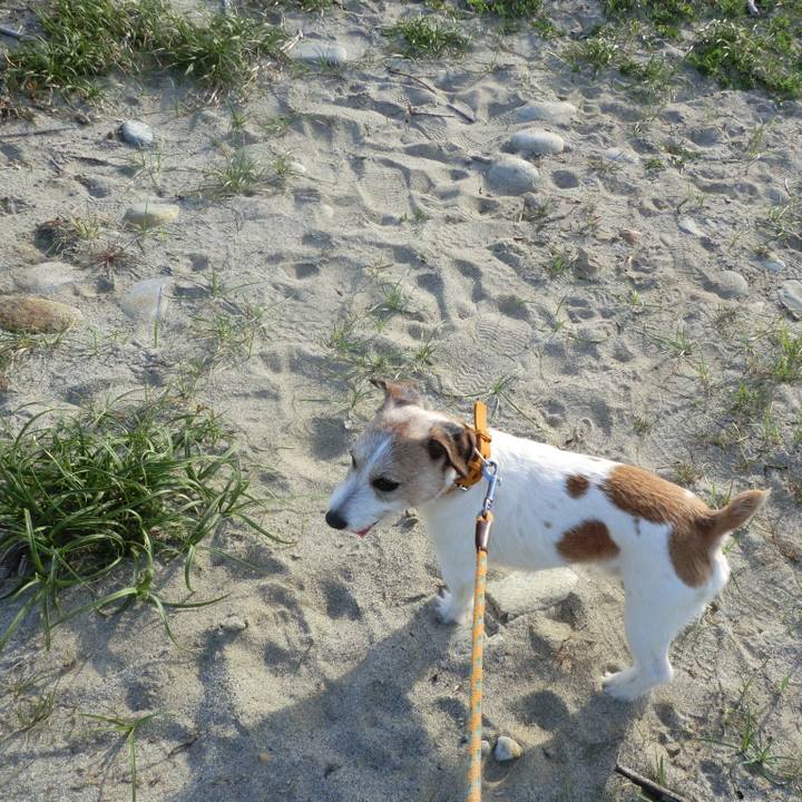 B968b2e9 e842 443a a454 a2e88dcc7096 1557491880287