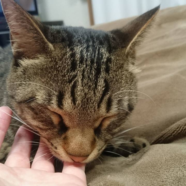 B968b470 6e49 43e1 8180 0425e8b52f03 1510233890839