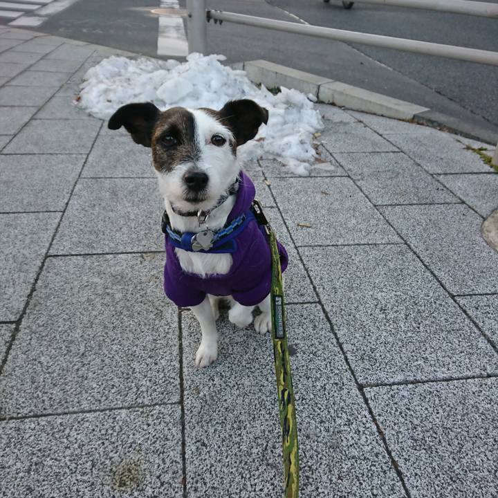 B968d094 0d9e 4260 8828 9825c7988c9c 1517350199530