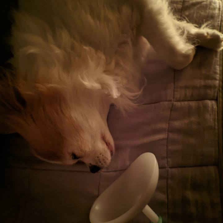 B968eded e18a 4a3e a5e3 e5c548aae4a9 1651762859479